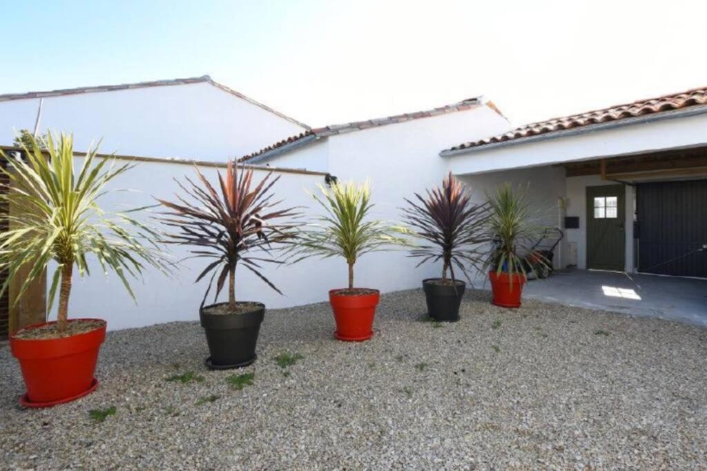 L'Oiseliere ------- Nul Part Ailleurs Villa Loix Exterior photo